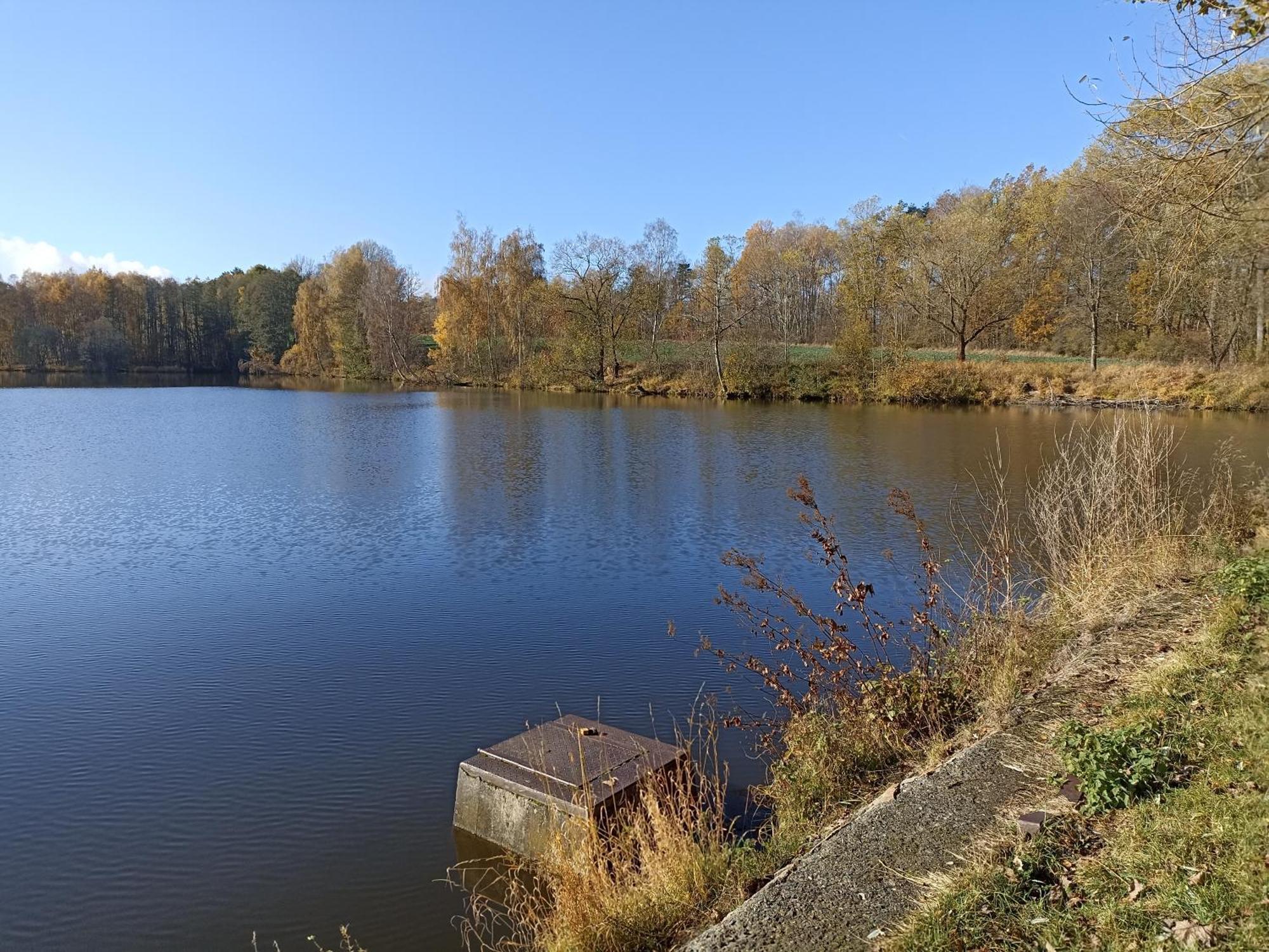 Chalupa V Ceskem Lese Bela nad Radbuzou Esterno foto