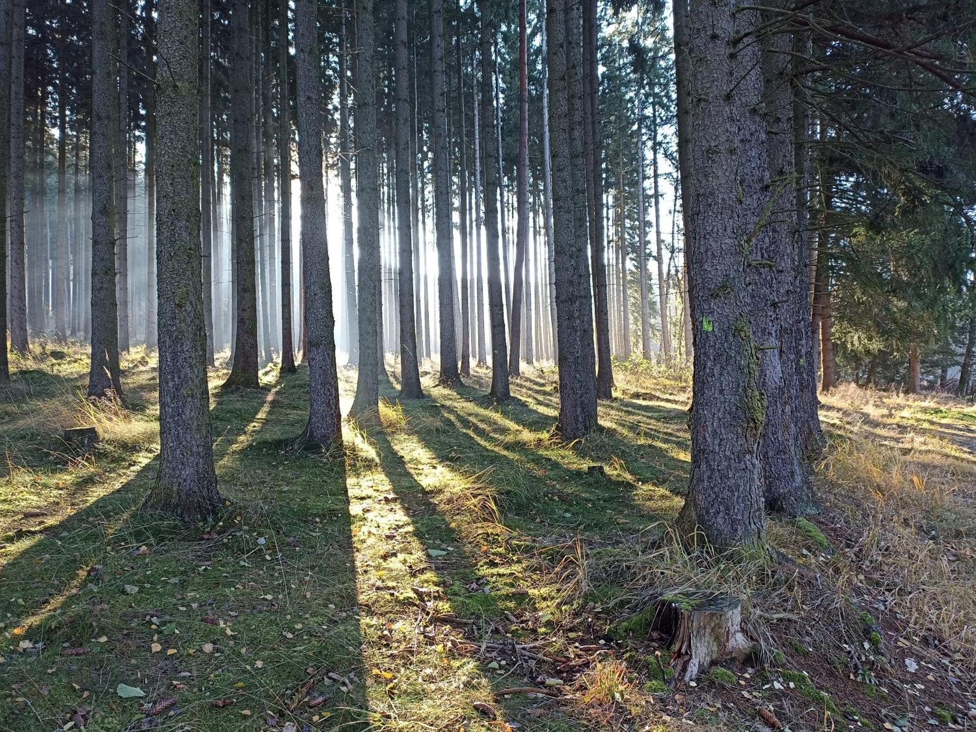 Chalupa V Ceskem Lese Bela nad Radbuzou Esterno foto